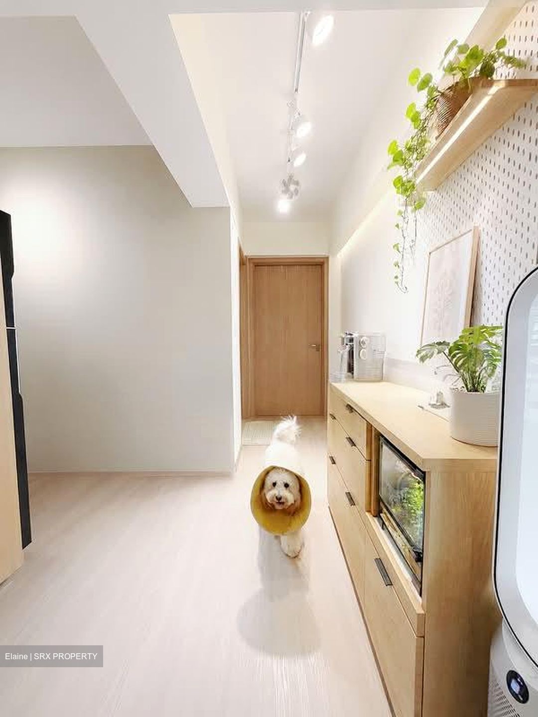 Blk 114B Alkaff Oasis (Toa Payoh), HDB 3 Rooms #560367201